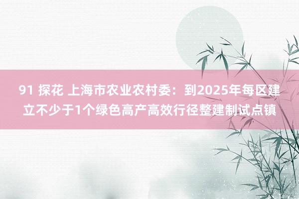 91 探花 上海市农业农村委：到2025年每区建立不少于1个绿色高产高效行径整建制试点镇