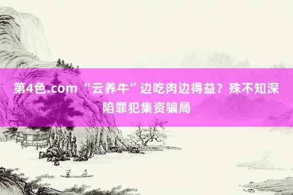 第4色.com “云养牛”边吃肉边得益？殊不知深陷罪犯集资骗局